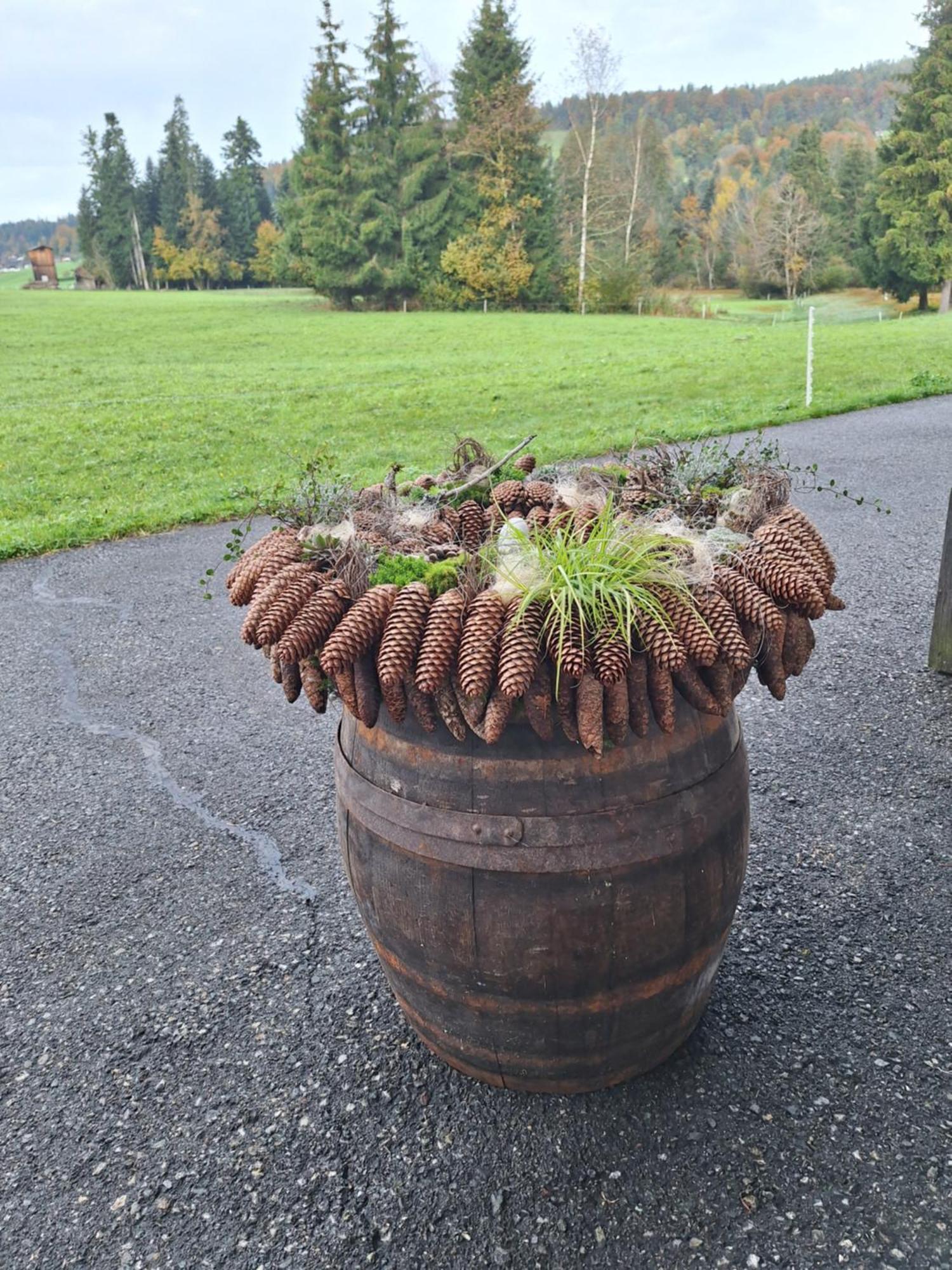 DorenVoegelhof公寓 外观 照片